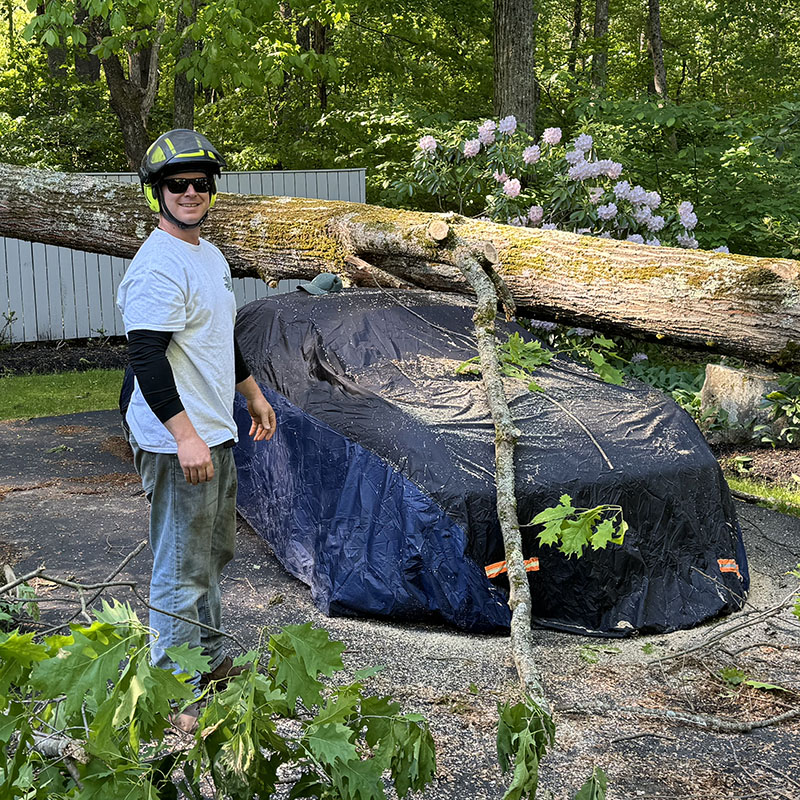 About Owner Mark Cormier - Tip Top Tree Service - Hudson, NH - Complete tree care company in New Hampshire and Massachusetts