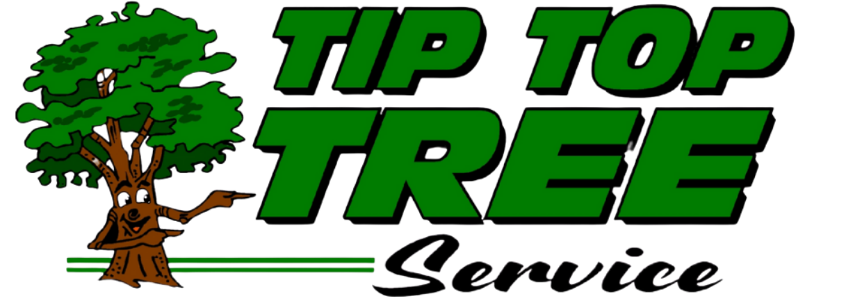Tip Top Tree Service - Hudson, NH - Complete tree care company in New Hampshire and Massachusetts